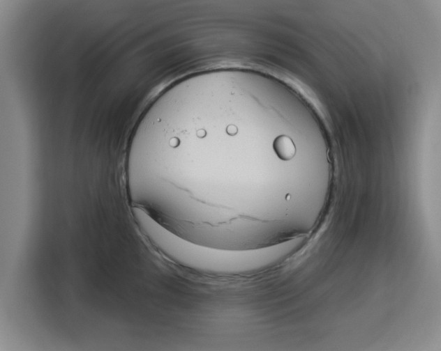 X0000113921097200910221348