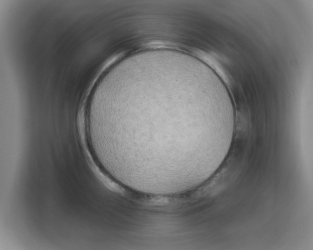 X0000113921098200910221348