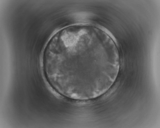 X0000113921099200910221348