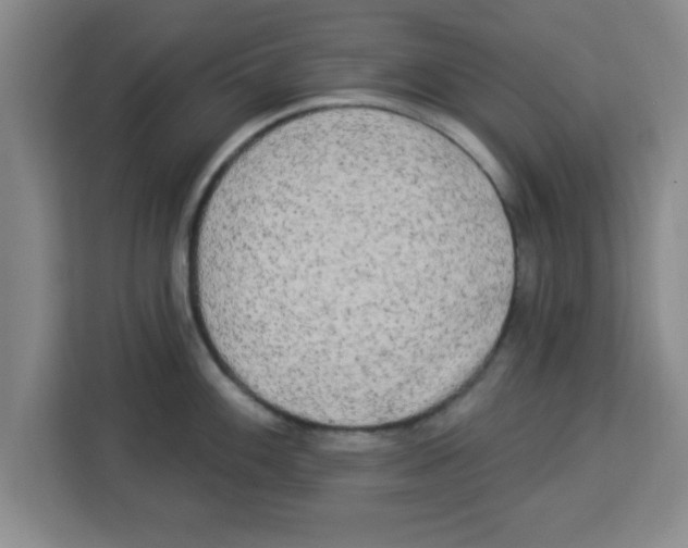 X0000113921100200910221348