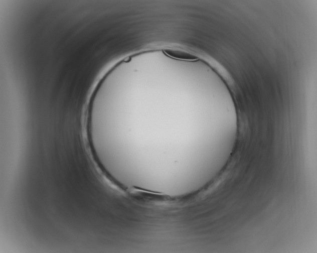 X0000113921102200910221348