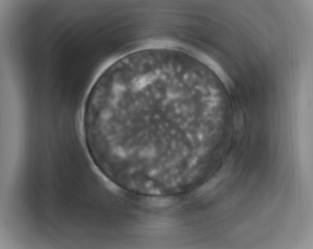 X0000113921103200910221348