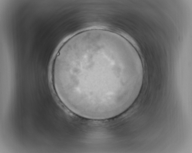X0000113921104200910221348