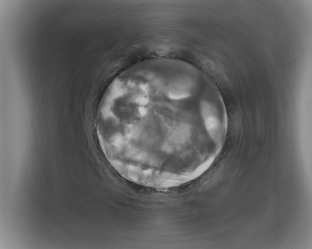 X0000113921105200910221348