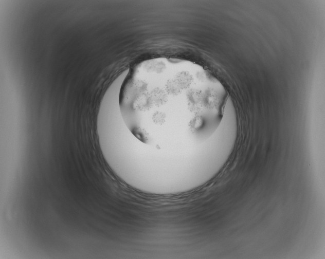 X0000113921108200910221348