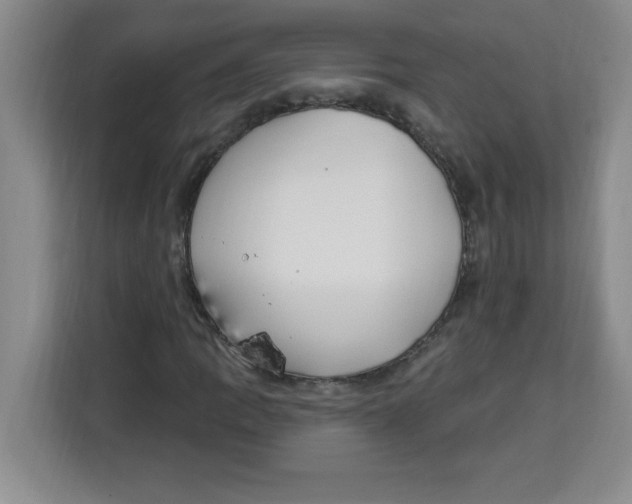 X0000113921109200910221348