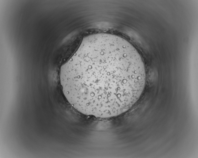 X0000113921110200910221348