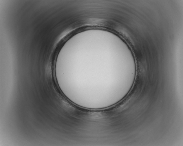 X0000113921114200910221348