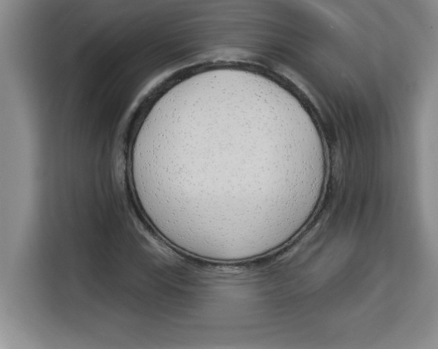 X0000113921115200910221348