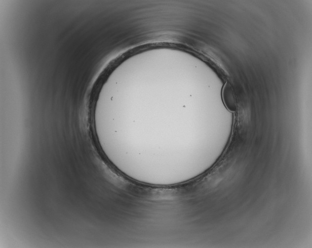 X0000113921116200910221348