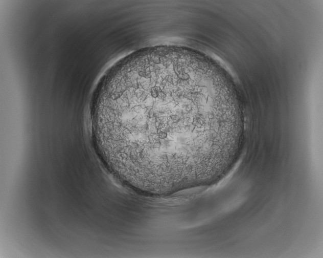 X0000113921117200910221348