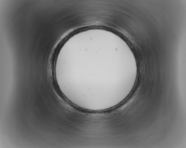 X0000113921118200910221348