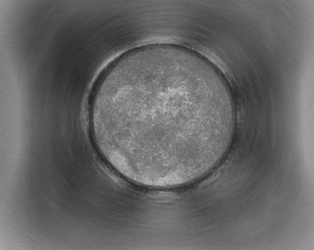 X0000113921119200910221348