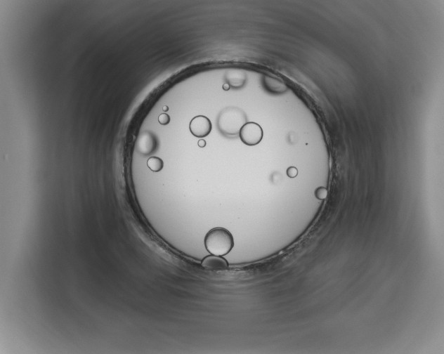 X0000113921120200910221348