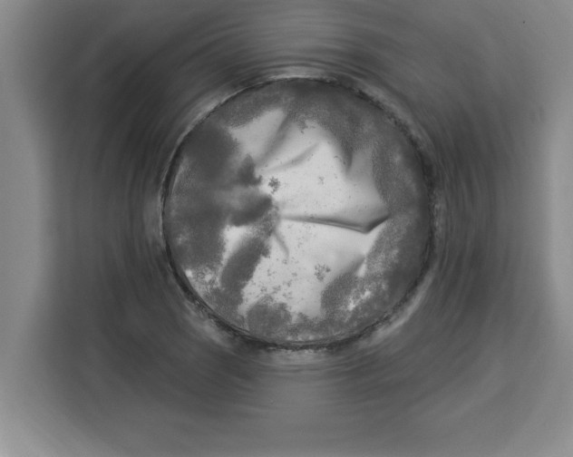 X0000113921121200910221348
