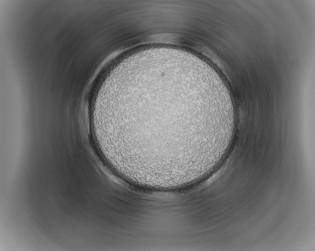 X0000113921123200910221348