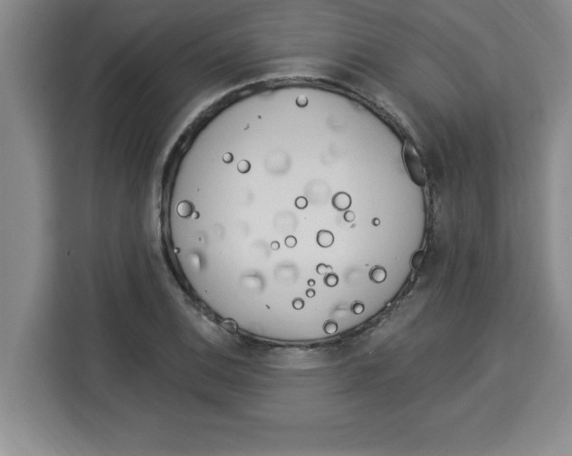 X0000113921124200910221348
