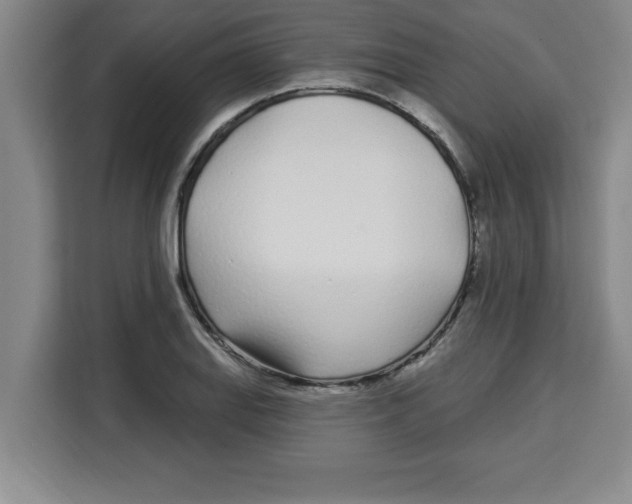 X0000113921127200910221348