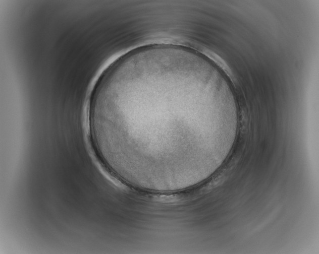 X0000113921128200910221348