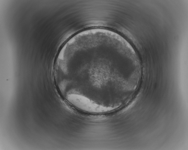 X0000113921129200910221348
