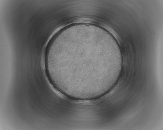 X0000113921131200910221348