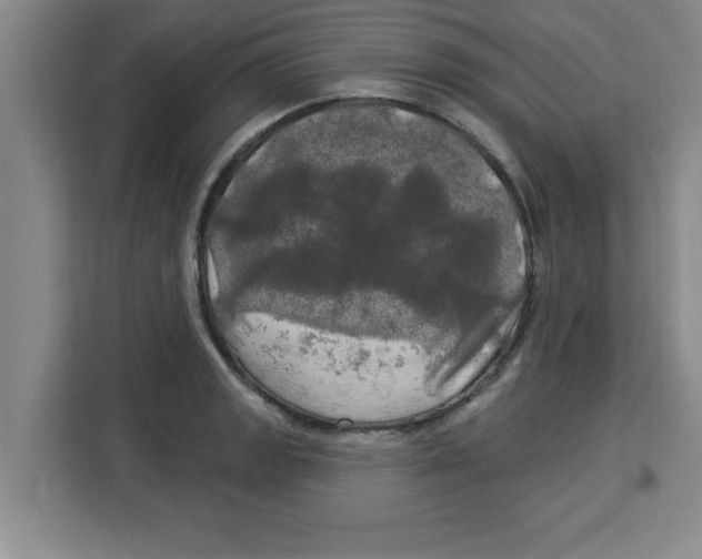 X0000113921133200910221348