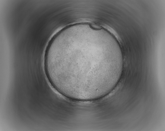 X0000113921135200910221348