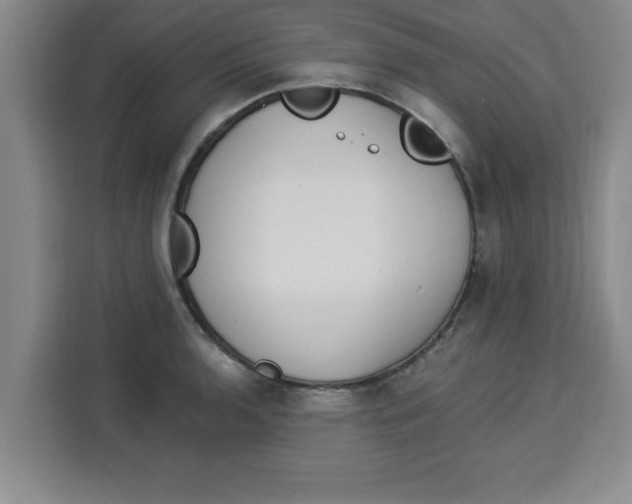 X0000113921136200910221348