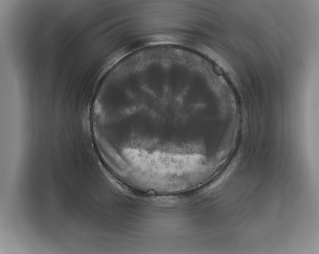 X0000113921137200910221348