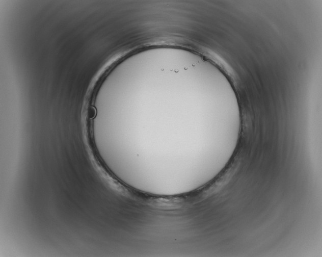 X0000113921138200910221348