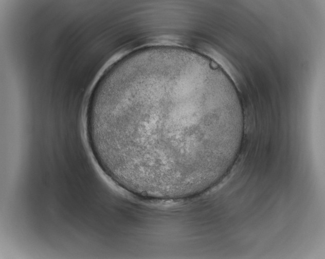X0000113921139200910221348