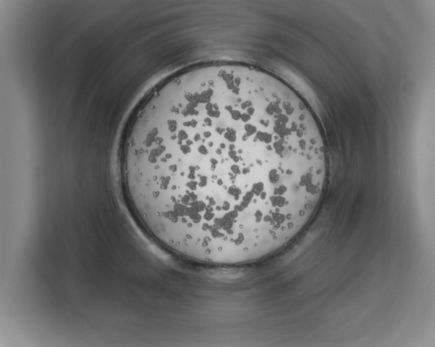 X0000113921141200910221348