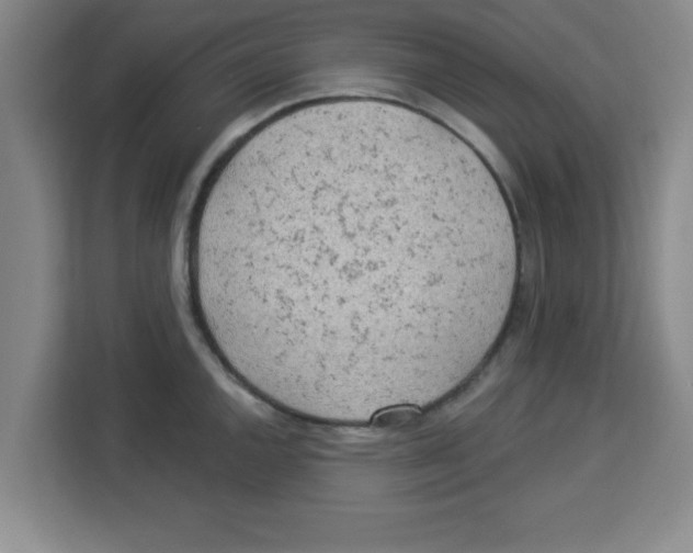 X0000113921144200910221348
