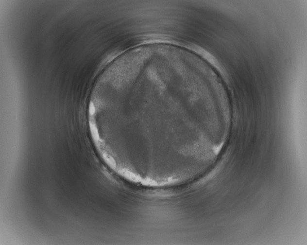 X0000113921145200910221348
