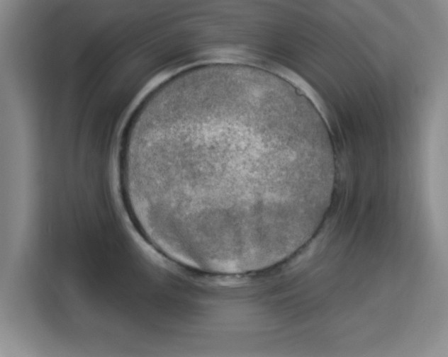 X0000113921147200910221348