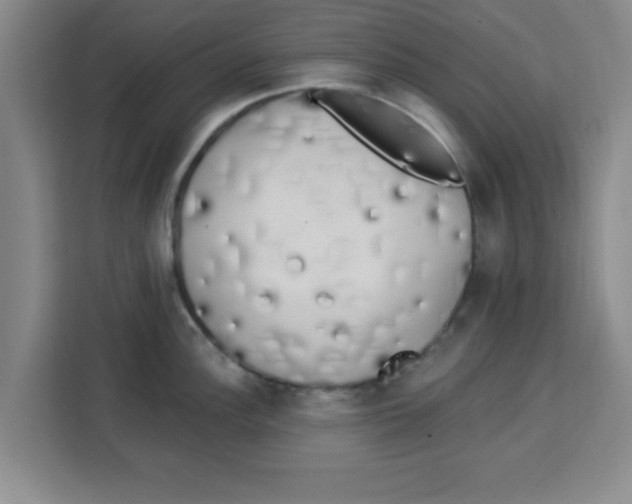 X0000113921148200910221348
