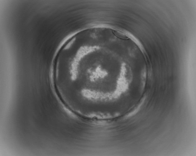 X0000113921149200910221348