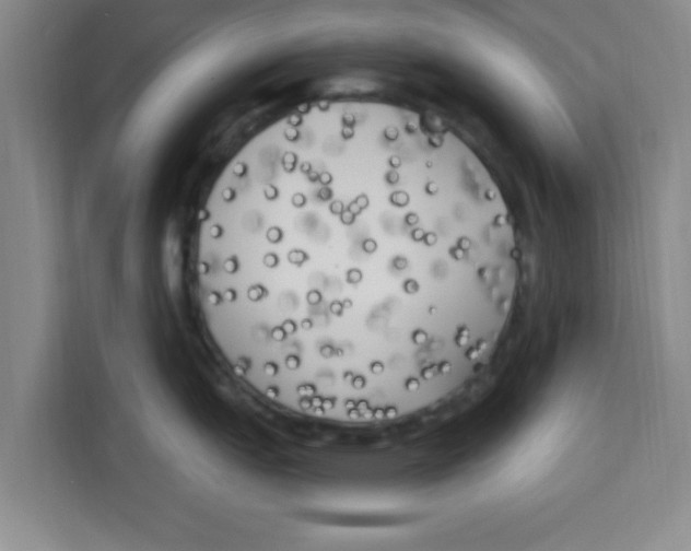 X0000113921151200910221348