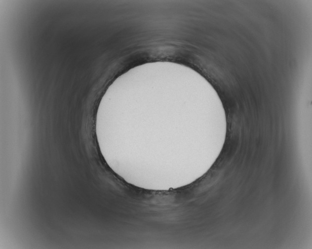 X0000113921153200910221348