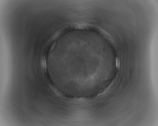 X0000113921155200910221348