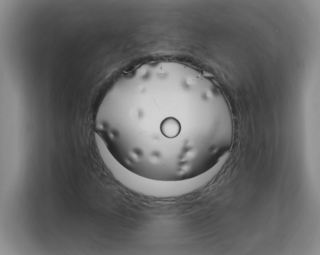 X0000113921157200910221348