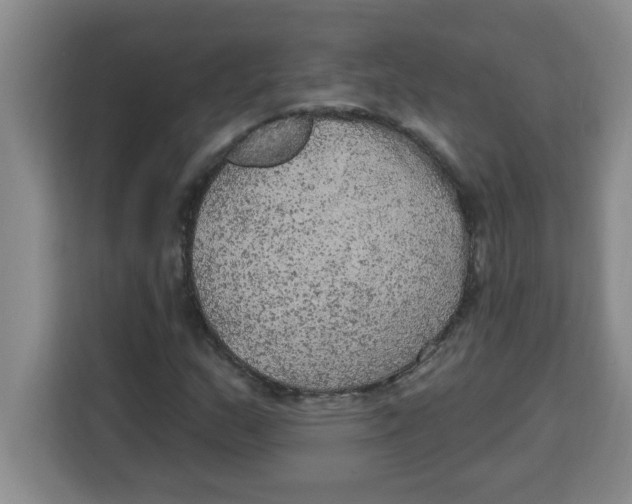 X0000113921159200910221348