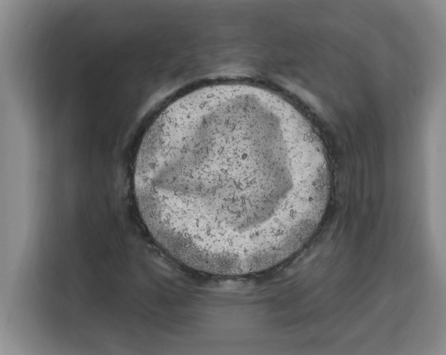 X0000113921160200910221348