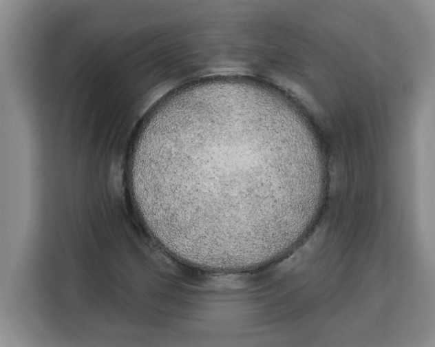 X0000113921162200910221348
