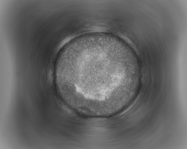 X0000113921163200910221348