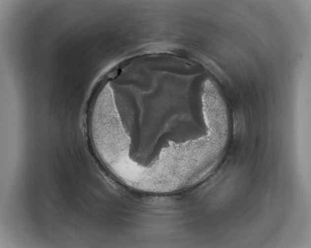 X0000113921164200910221348