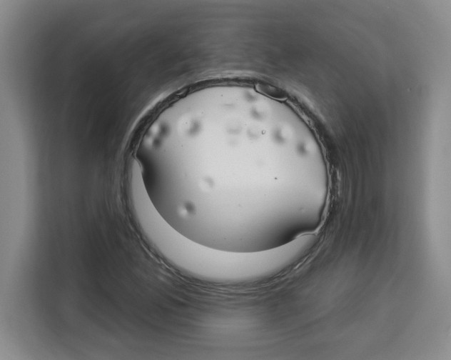 X0000113921165200910221348