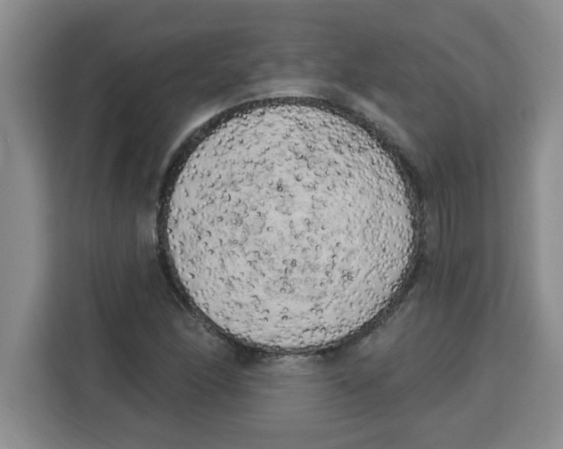 X0000113921166200910221348