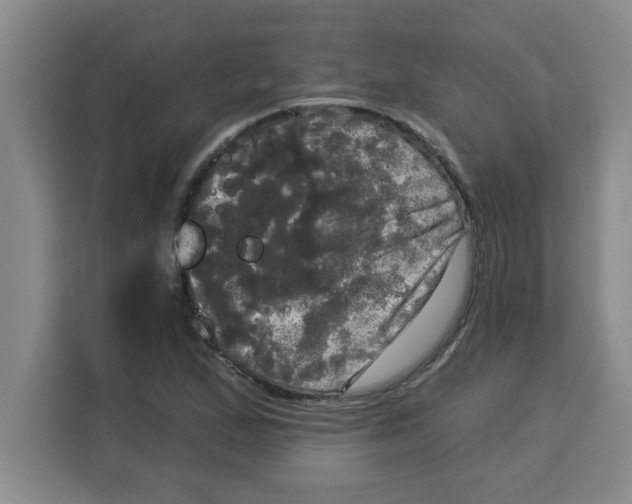 X0000113921167200910221347