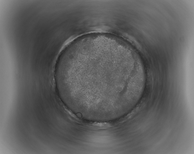 X0000113921168200910221347
